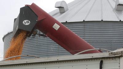 Corn unloading