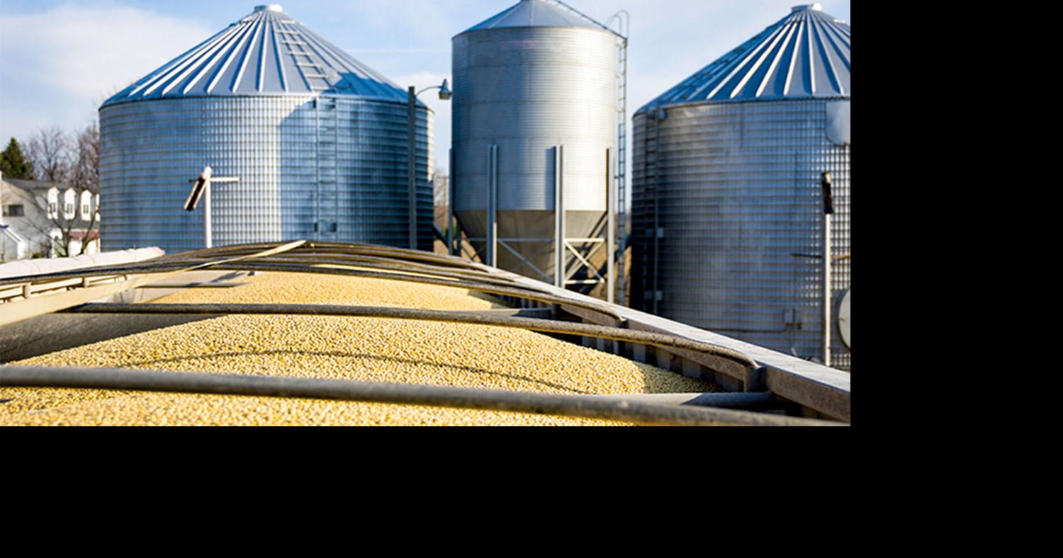 Farmers aggressive soybean sellers