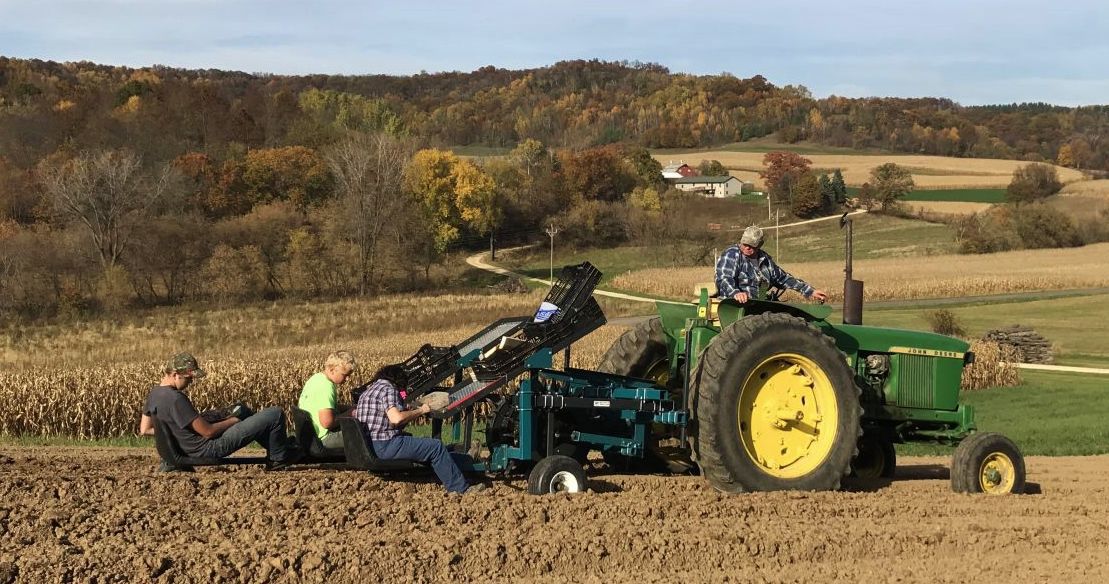 Quiet garlic gives peace to teacher Crops