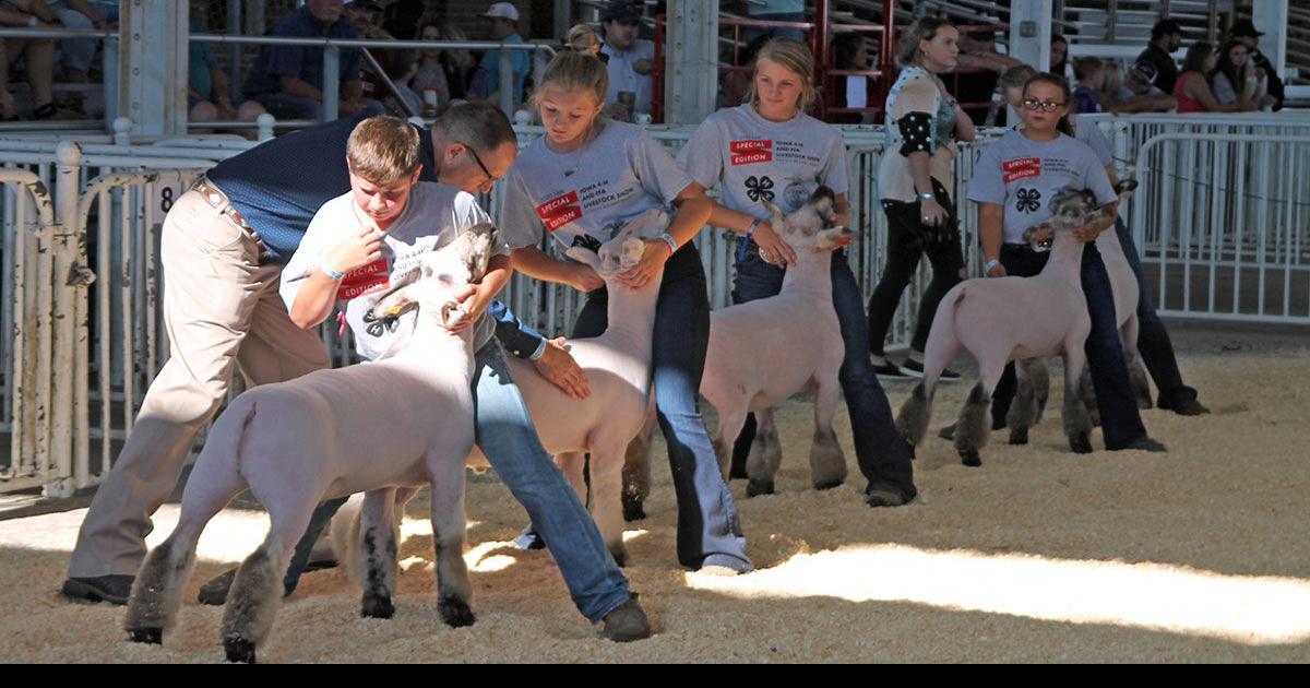 Iowa State Fair livestock show goes on — without crowds