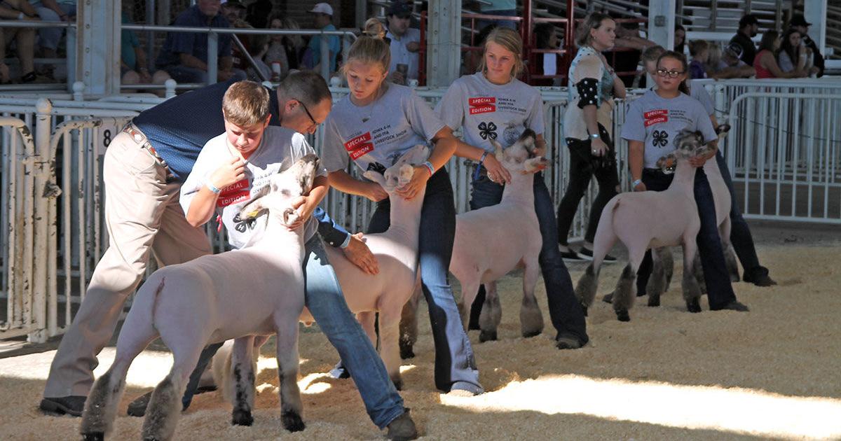 Iowa State Fair Livestock Schedule 2025