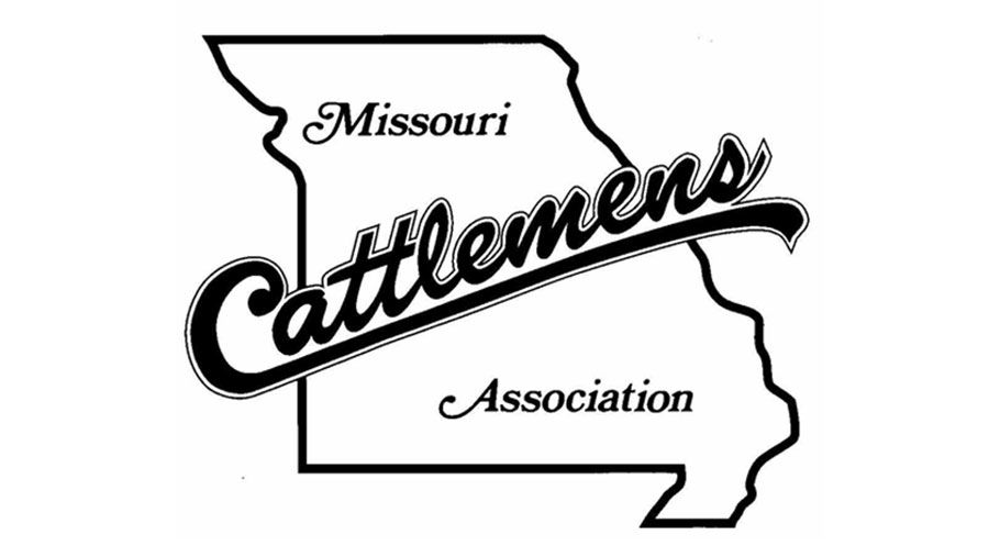 MCA logo