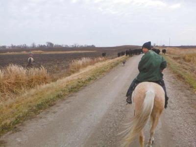 Barker Elijah PPR Marco on Cattle Drive