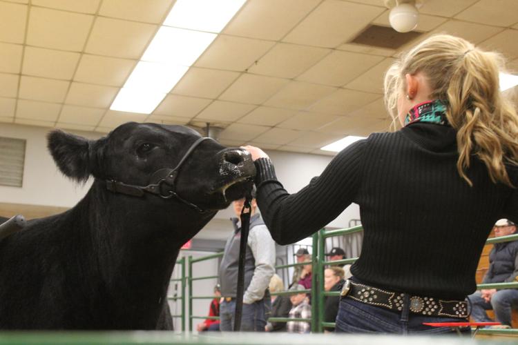 WWFS Supreme Row (1).JPG