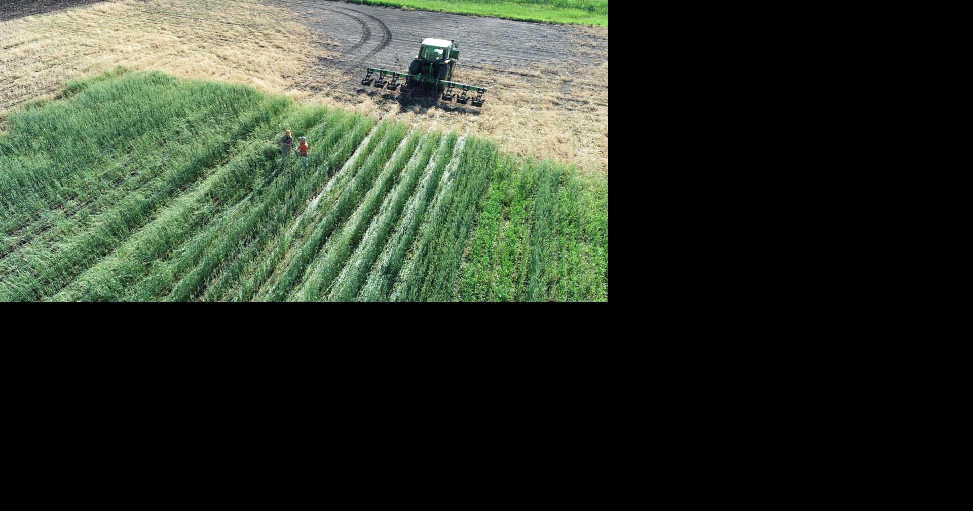 New funding available to help improve Minnesota’s soil health