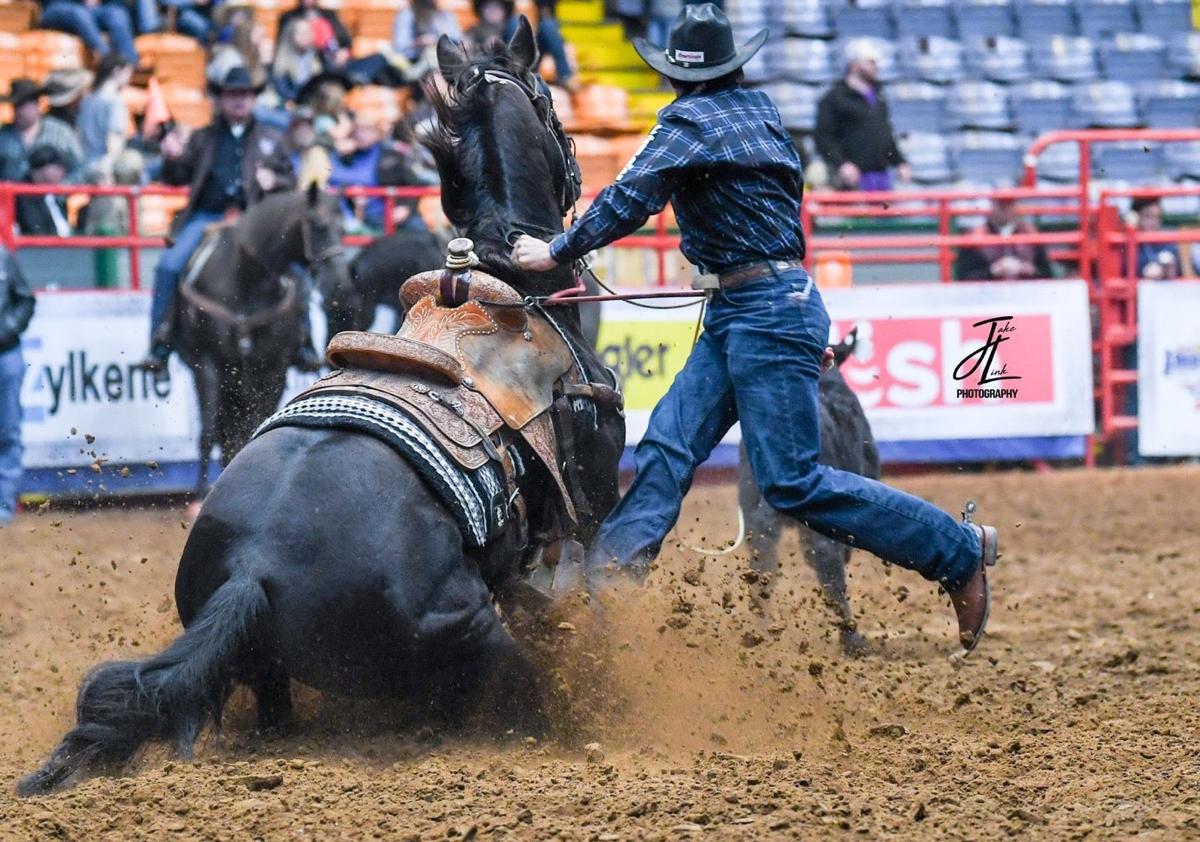 Miles City Roping Superstar Heading To First Nfr Equine Agupdate Com Miles City Roping Superstar Heading To First Nfr Equine Agupdate Com