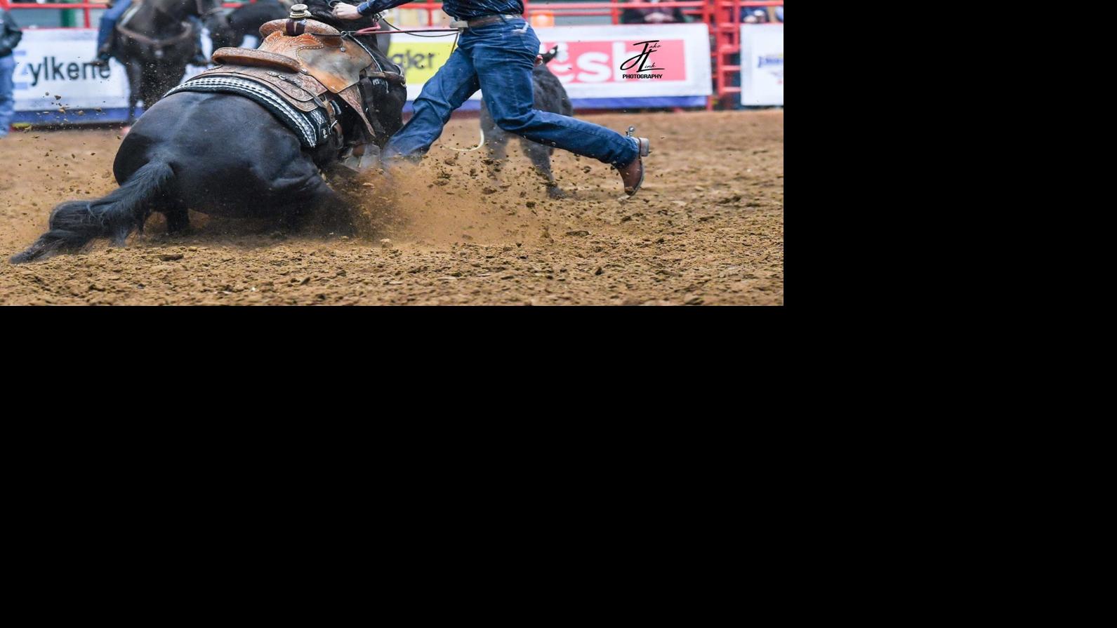 Miles City Roping Superstar Heading To First Nfr Equine Agupdate Com