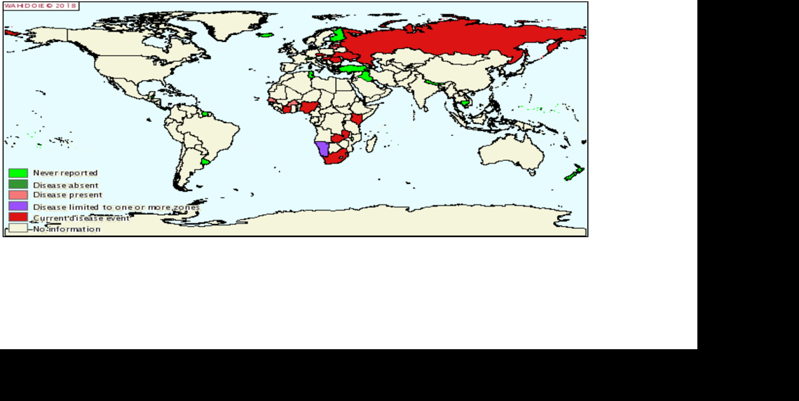 First-half 2018 African swine fever