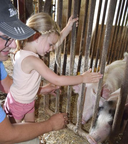 Claire Clary with pigs