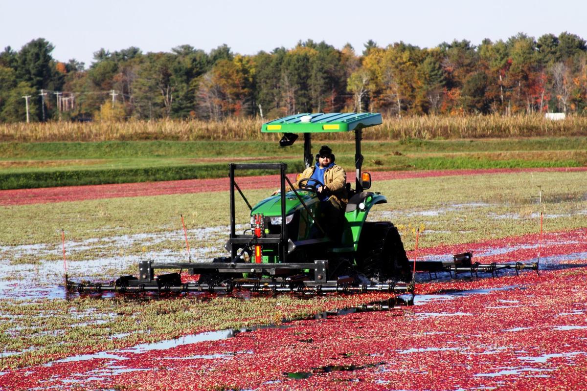 Wisconsin consumers crazy for cranberries Farm Life