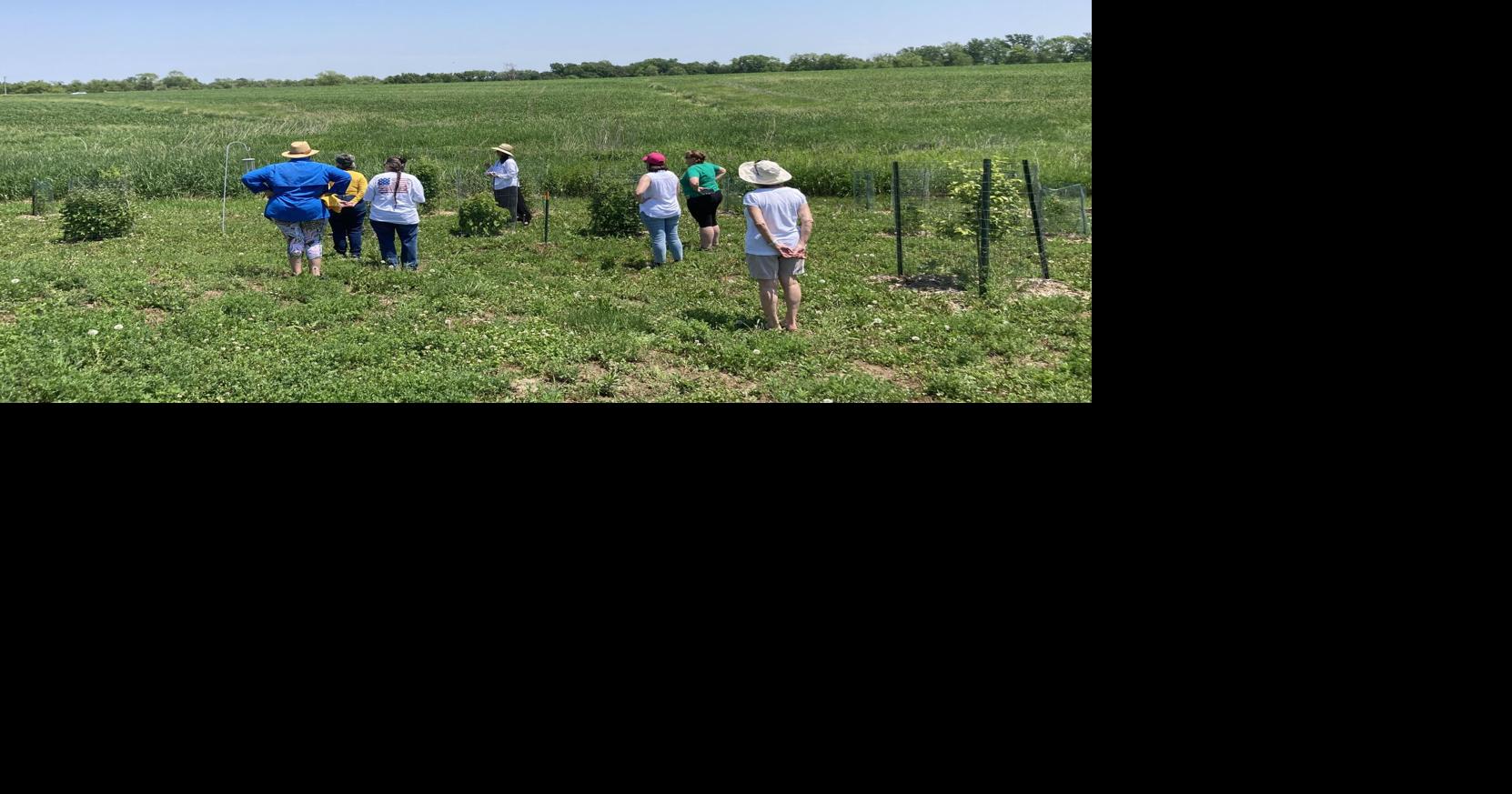 How has weather impacted your crops?