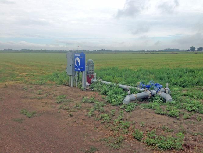 Irrigation maintenance 1.jpg