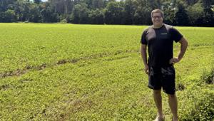 Ben Stern soybeans