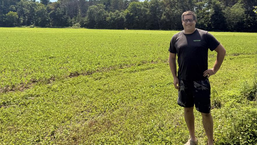 Ben Stern soybeans