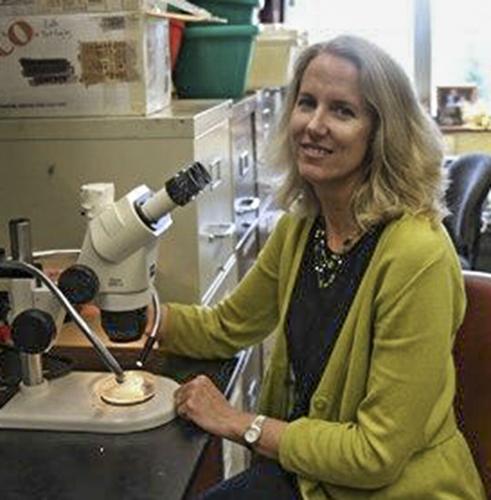 Glenda Gillaspy at Virginia Tech