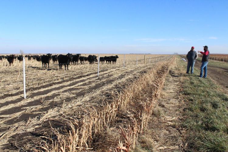 Eagle Pass Ranch (68).JPG