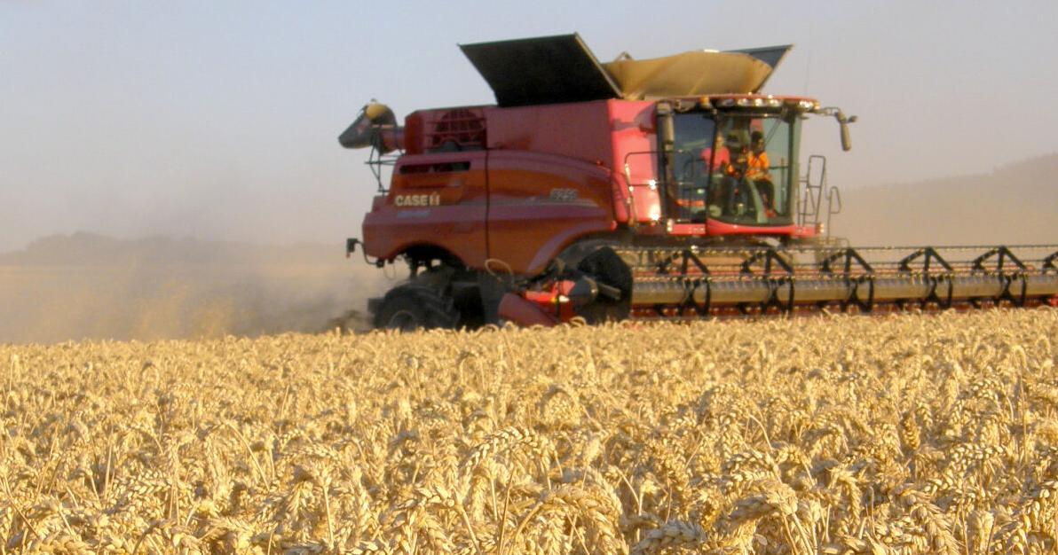 USA second in feed production