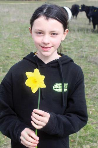 Ava-holding-daffodil