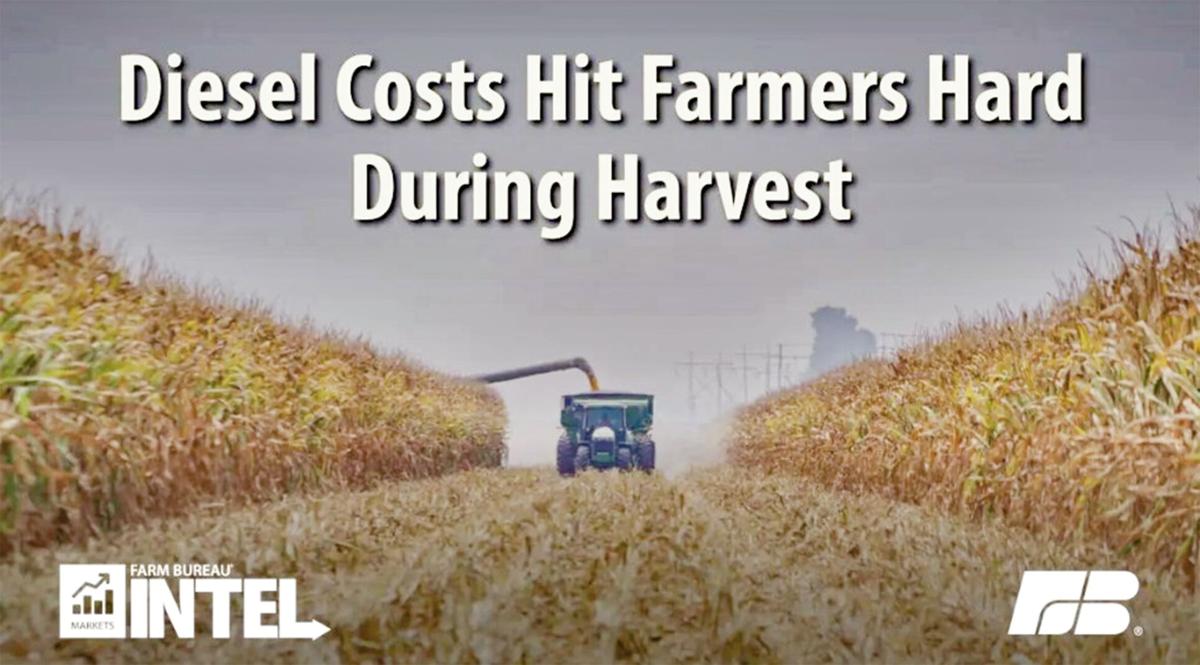 Diesel costs