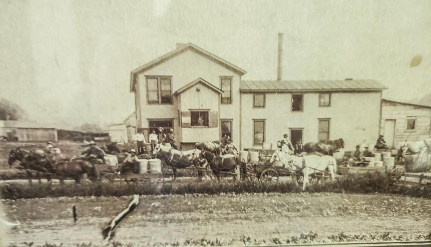 Loyd cheese factory