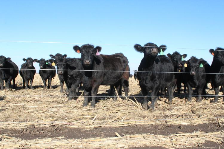 Eagle Pass Ranch (109).JPG