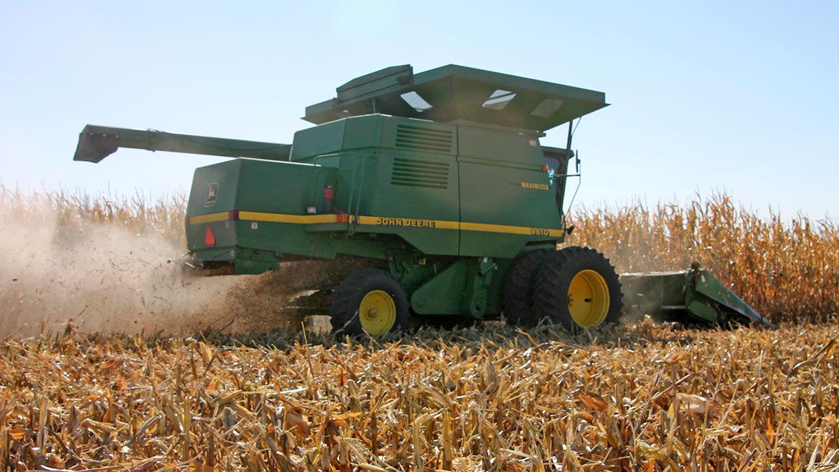Combine in corn