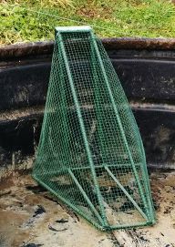 Bird ladder in stock tank