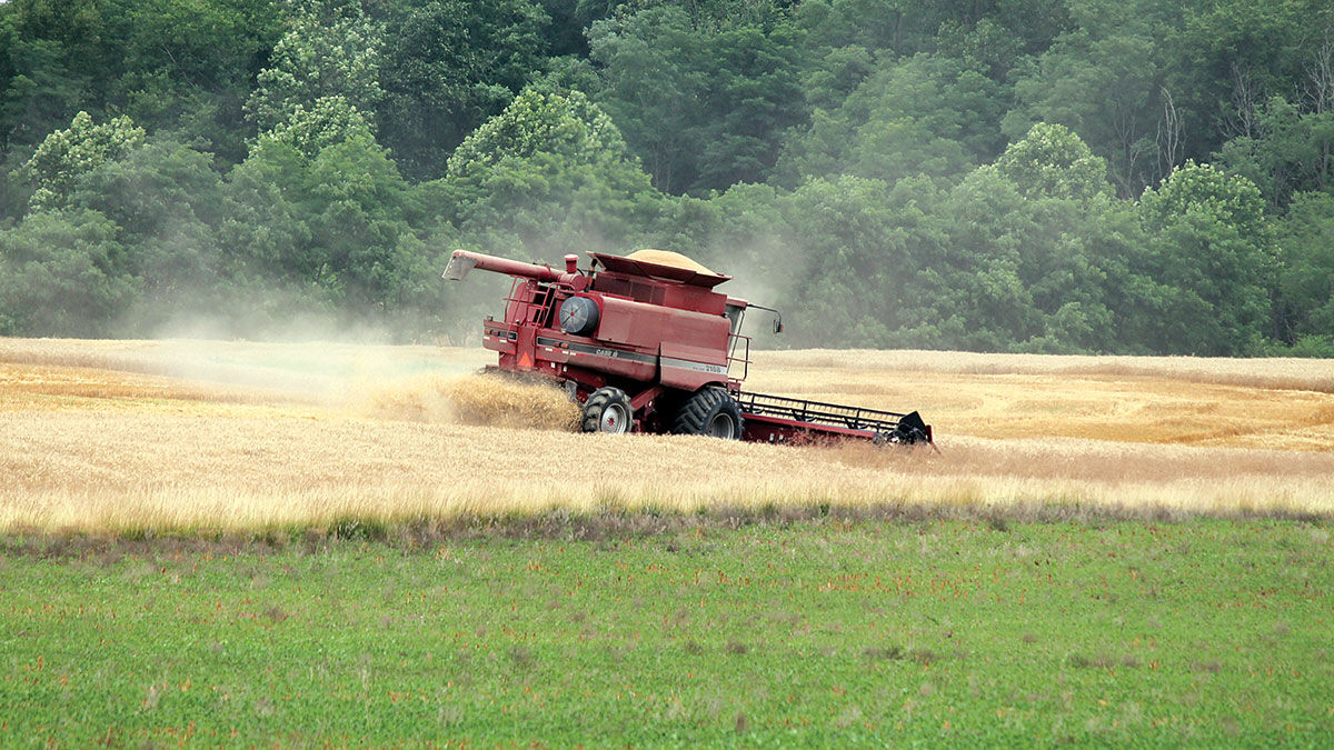 Illinois wheat harvest