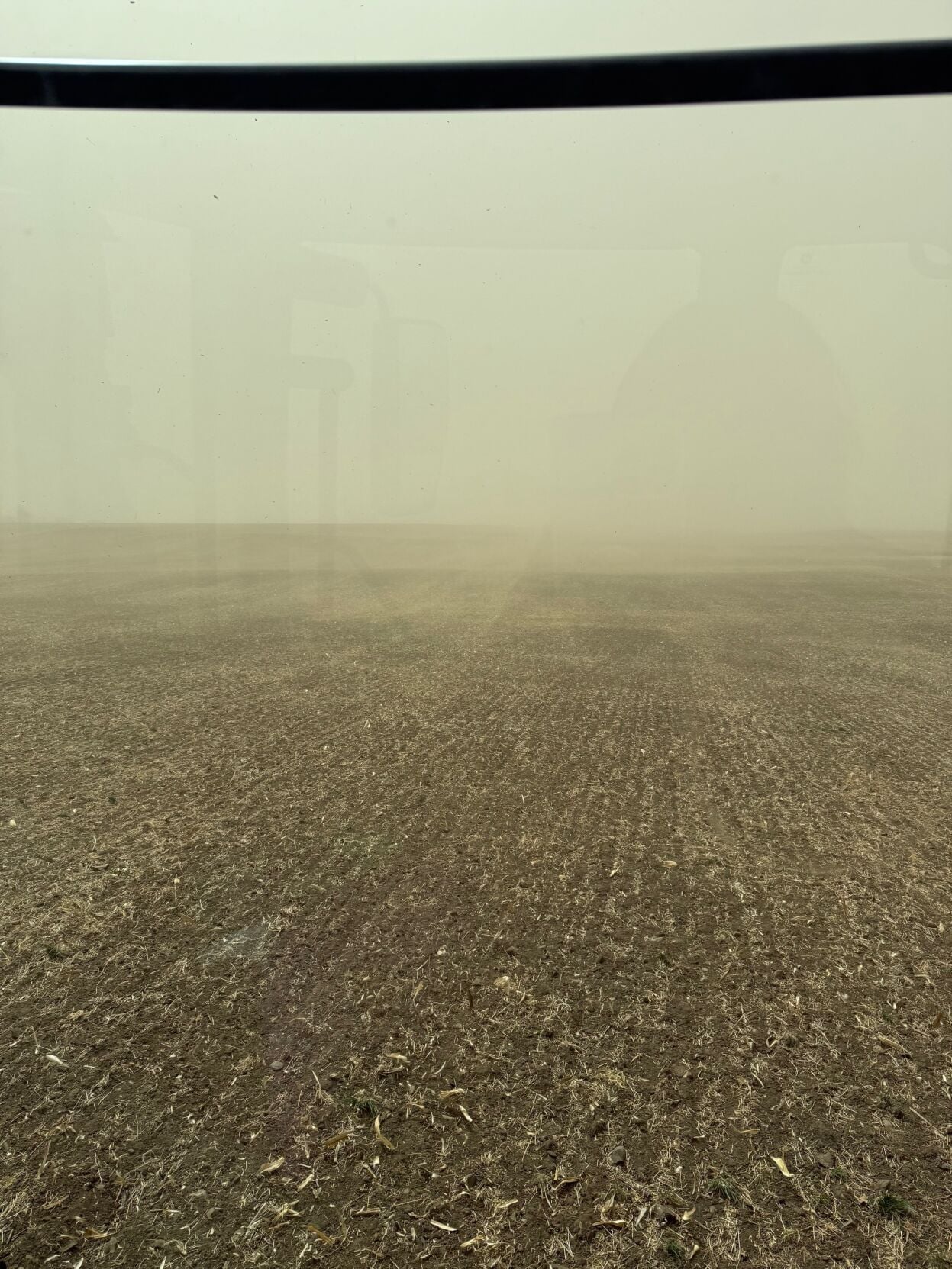 Wind planting