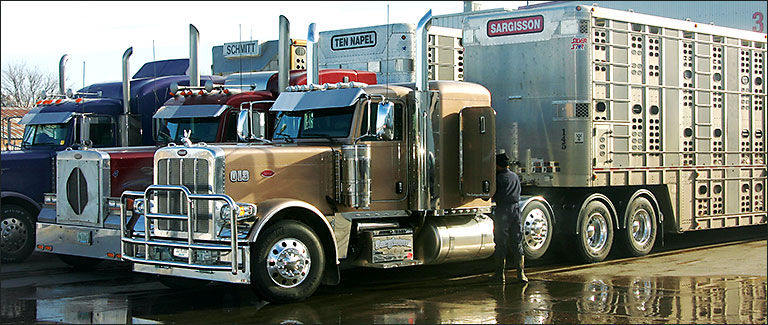 Trucks full