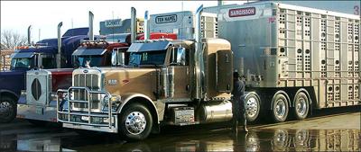 Trucks full