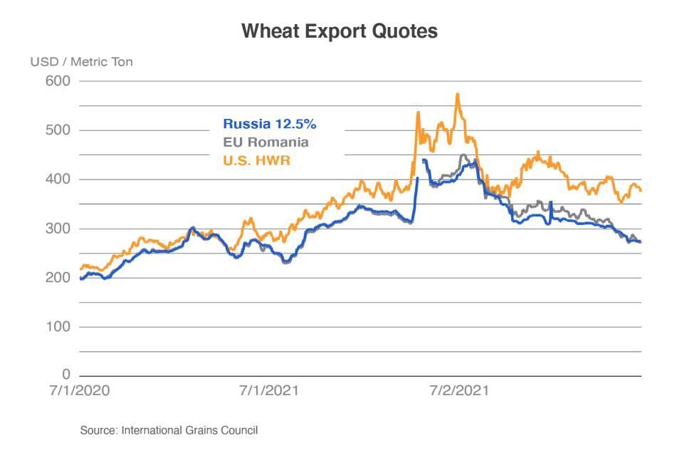 Wheat Export Quotes