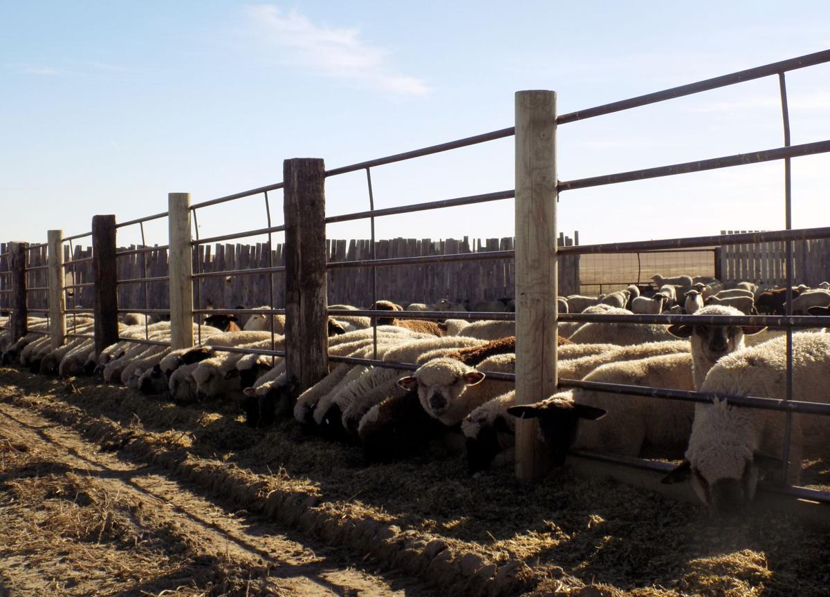 Hollenbeck