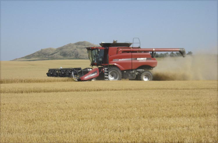 Case IH