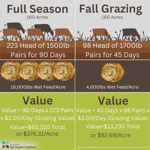 Grazing cropland 2.jpg