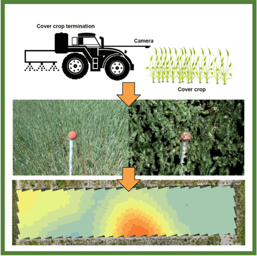 3D point clouds of cover crops