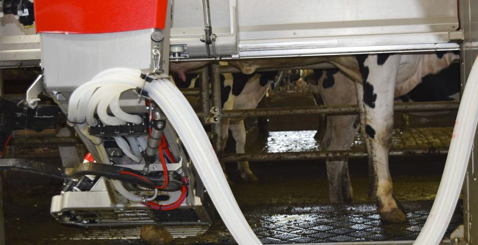 Robotic milking system at UW-Platteville