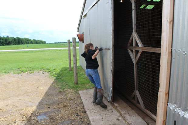 Barn door