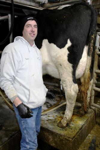 Tom Crosby with cow