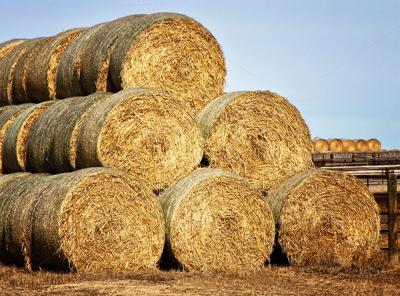 hay bales