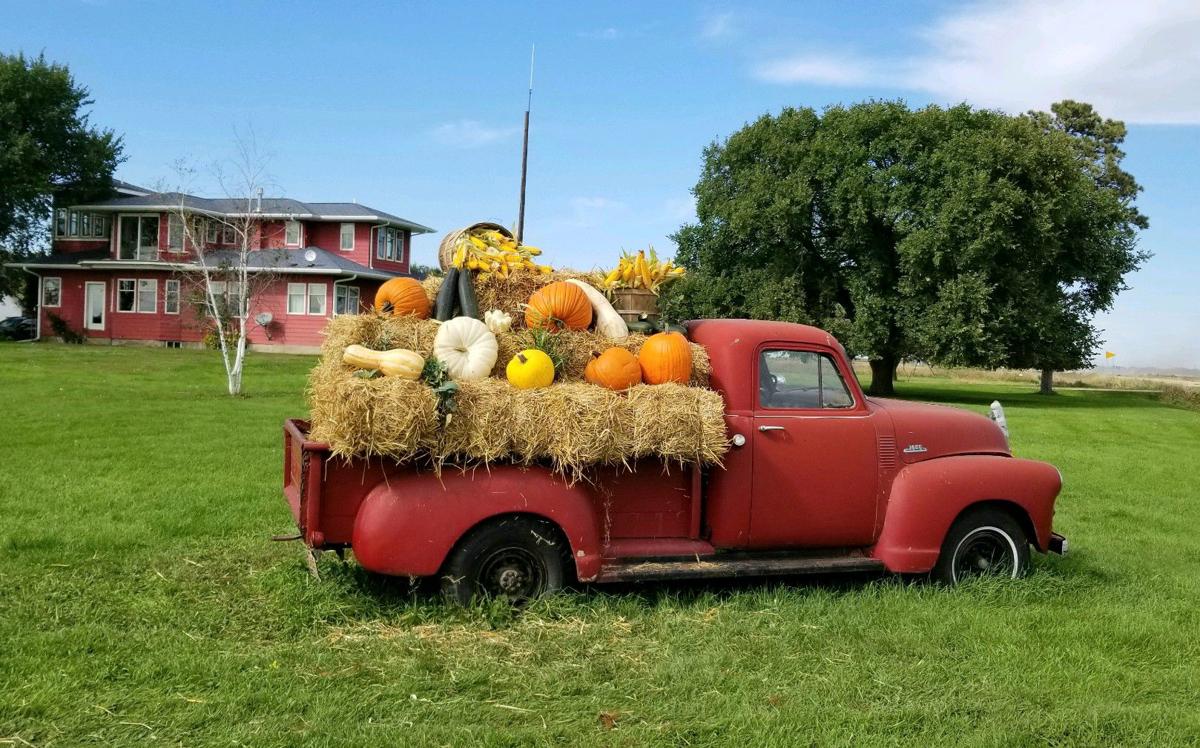 Pumpkin truck