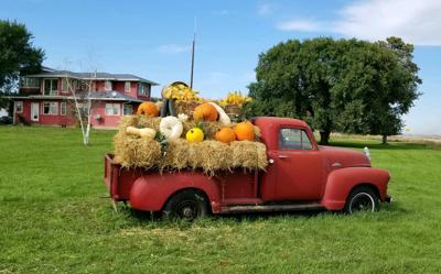Pumpkin truck