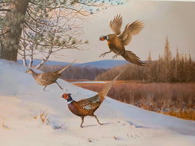 Pheasants