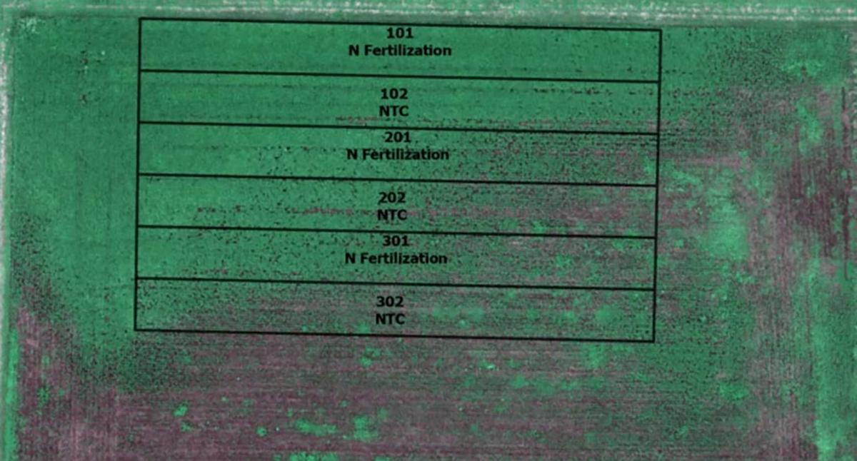 broadcast nitrogen test