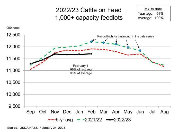 Cattle on feed