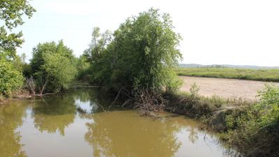 creek flows through Boone County on its way to the Missouri River