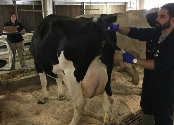 PhD student Rafael Caputo Oliveira