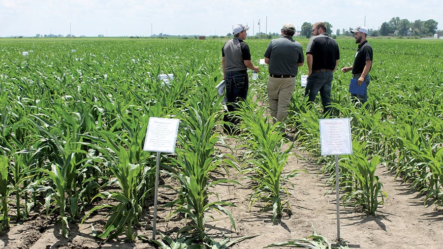 Illinois Sees Boost From Intense Crop Practices