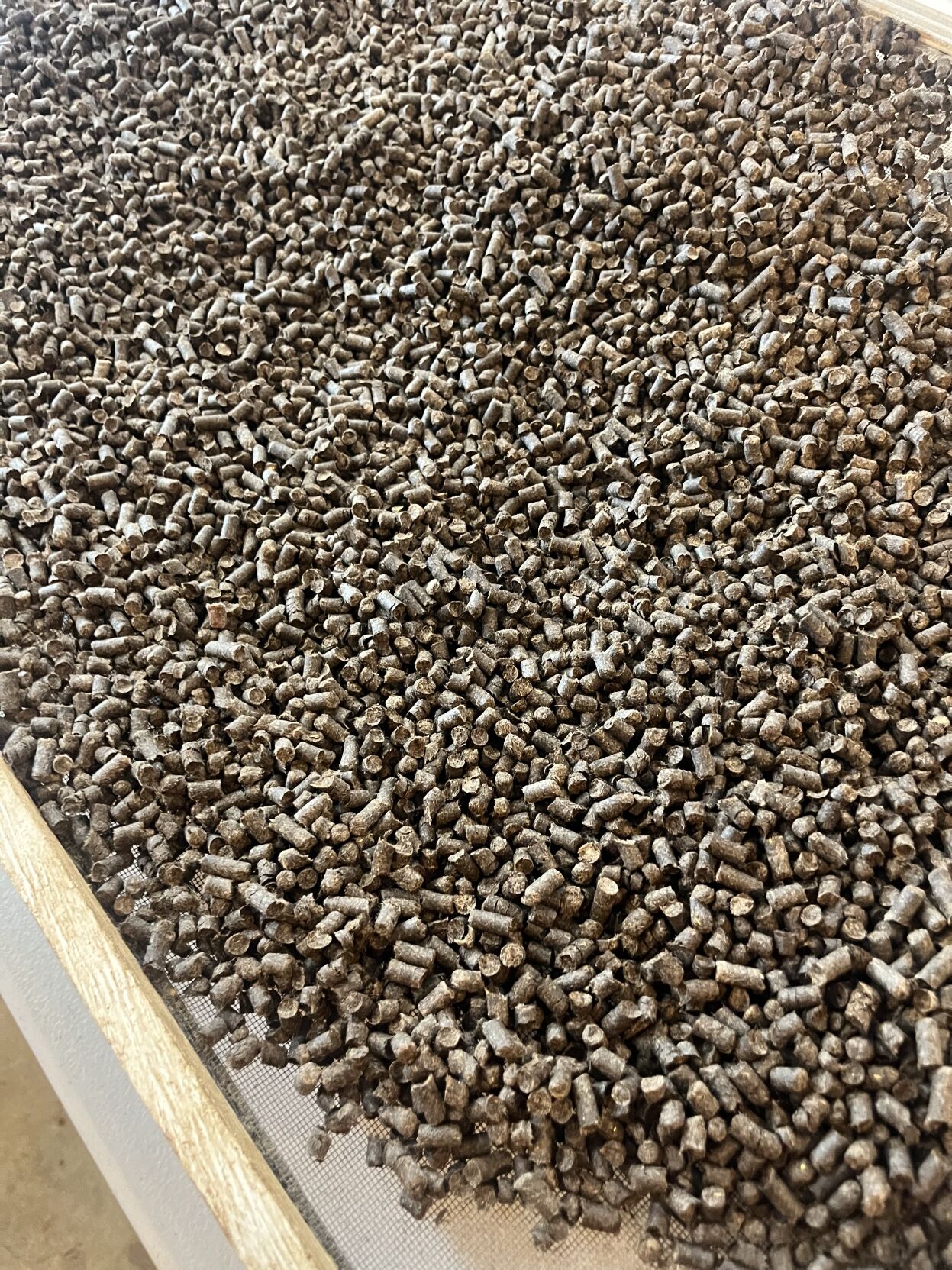 Pellets dried