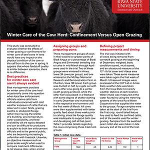 New publication details comparison study on winter care of the cow herd - Vimarsana News